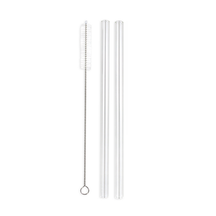 Combo Pack - 2 Regular Glass Straws (9.5 mm Diameter) with Cleaning Brush