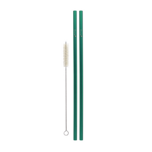 Combo Pack - 2 Steel Skinny Straws (8 mm Diameter) with Cleaning Brush