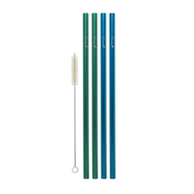 Load image into Gallery viewer, Family Pack - 4 Steel Smoothie Straws (9.5 mm Diameter) with Cleaning Brush