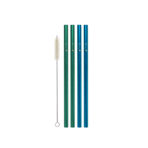 Family Pack - 4 Steel Smoothie Straws (9.5 mm Diameter) with Cleaning Brush